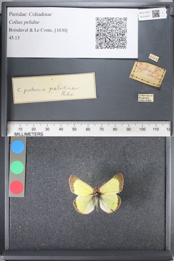 Media type: image;   Entomology 124477